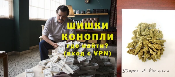 дживик Новодвинск