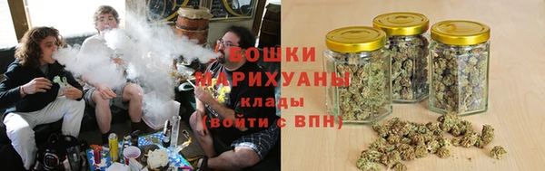 шишки Ельня